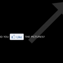 like the photos