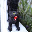 goombay festival 2013 key west florida 1