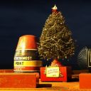 Christmas Night 2013 Key West Florida 01