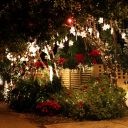 Christmas Night 2013 Key West Florida 03