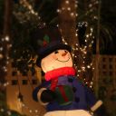 Christmas Night 2013 Key West Florida 07
