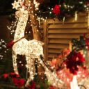 Christmas Night 2013 Key West Florida 08