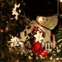 Christmas Night 2013 Key West Florida 10