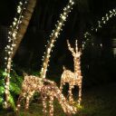 Christmas Night 2013 Key West Florida 12