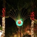 Christmas Night 2013 Key West Florida 13