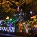 Christmas Night 2013 Key West Florida 28
