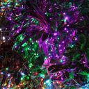 Christmas Night 2013 Key West Florida 29