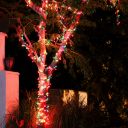 Christmas Night 2013 Key West Florida 35