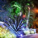 Christmas Night 2013 Key West Florida 37