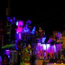 street parade fantasy fest 2014 key west fl 8057