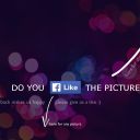 like keywestnight.com 