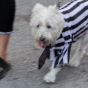 masquerade marcht fantasy fest 2015 keywest pictures    9